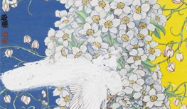 林若熹：艺术家需要理性与感性共融