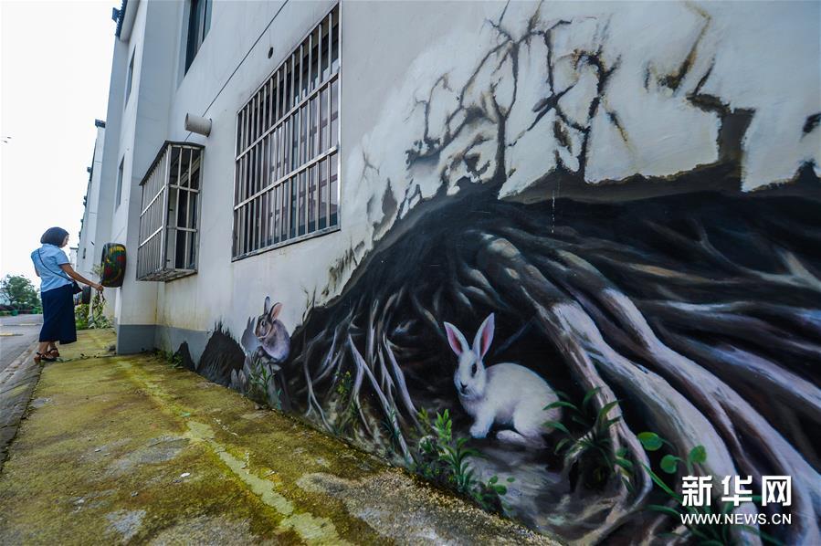 （文化）（4）浙江长兴：“3D艺术画”亮相新农村