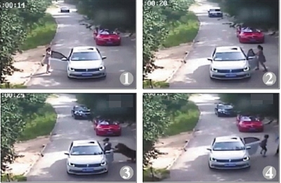 规矩面前，请勿任性