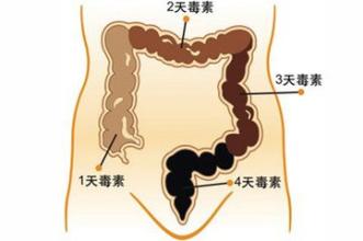怎样彻底清光肠内废物？ 