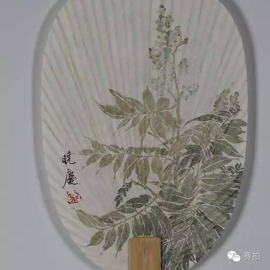 新阴叶未成
纵:25厘米
横:17厘米
形式:成扇