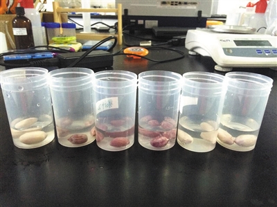 烧烤摊儿水煮花生检测出甲醛成分 专家怀疑使用防腐剂