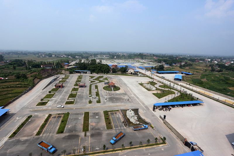 驾校购黑客软件帮刷学时 1万多学员没上路练车却拿到驾照