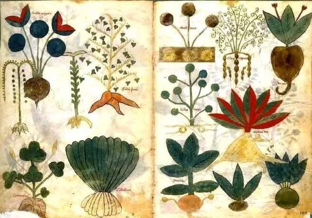 李零：毒药是药吗，&ldquo;药&rdquo;和&ldquo;毒&rdquo;本是一家