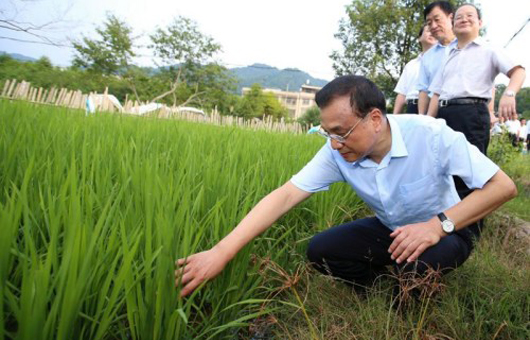 李克强高温下考察江西 衬衫湿透