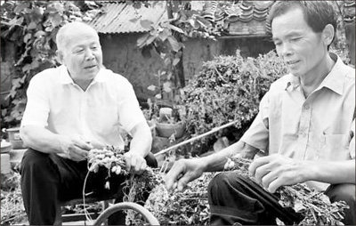 从雷锋身边来 一辈子做雷锋