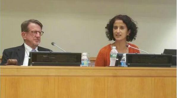 2016联合国可持续发展目标NGO全球峰会暨一带一路与联合国可持续发展目标高峰论坛在联合国总部举行