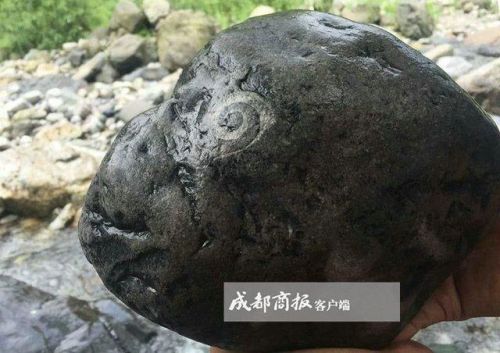 男子旅游发现奇石：宛若猴头栩栩如生
