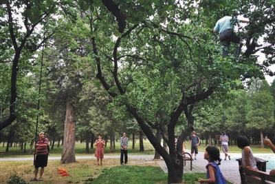 北京拟对游客不文明行为拟建档 景区可拒绝入内