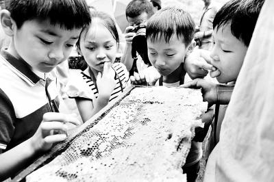 假货怎么成了&ldquo;合格&rdquo;食品