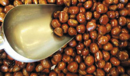 秋后吃一宝 百病自然好