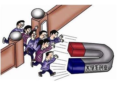 大学生创业卖&ldquo;多肉&rdquo; 年收入超百万