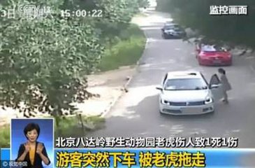 中消协就老虎伤人事件发声：高危游览项目仅发警示不够