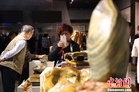广西柳州奇石节开幕 海内外奇石云集&ldquo;中华石都&rdquo;
