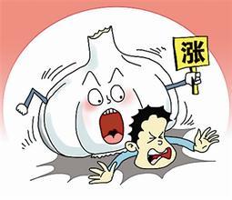 &ldquo;蒜你狠&rdquo;卷土重来 供应紧张局面或持续至明年春