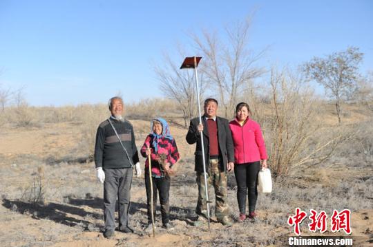 甘肃父子坚守腾格里沙漠三十余载：造林约680个足球场