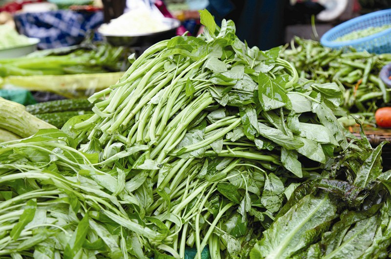 大葱货源足价格下浮 换季蔬菜供应断茬致价格持续上涨