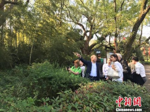 法国画家在古堰画乡采风 奚金燕 摄