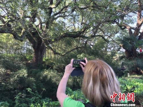 法国画家在古堰画乡采风 奚金燕 摄