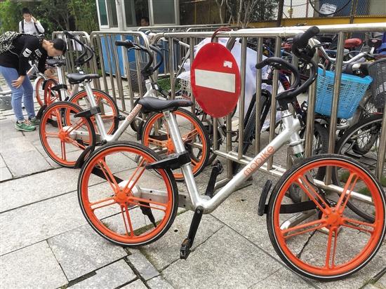 网约单车尴尬：车身贴骗钱二维码 管理靠&ldquo;猎人&rdquo;