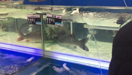 北京市食药监局：污染造成超市活鱼下架不可信
