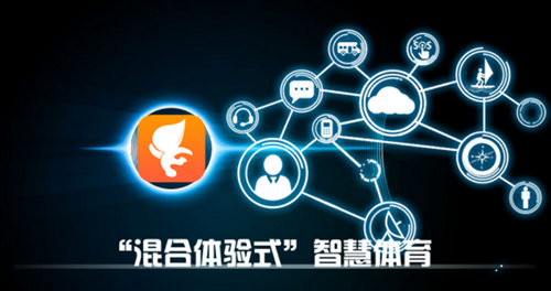 &ldquo;混合体验式&rdquo;智慧体育战略 点点运动平台将覆盖全球