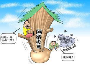 网上投票更拼人脉财力 网络民意&ne;真的民意