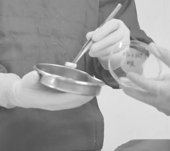 川大教授3D打印造血管 30只试验猴活得好好的