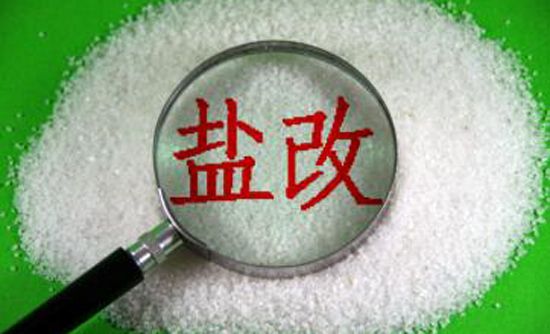 盐改来了 市场洗牌在即