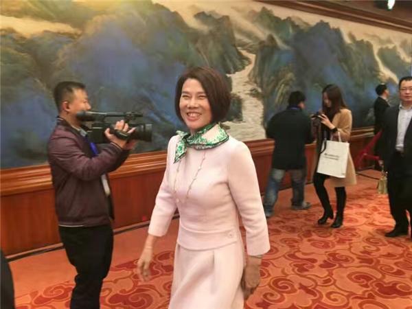 个人资产入股银隆 董明珠造车梦想不灭