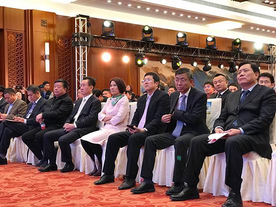 董明珠携万达京东入股银隆