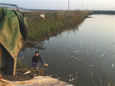 洞庭湖围网困境:&ldquo;摧毁性打击&rdquo;让渔民抱头痛哭