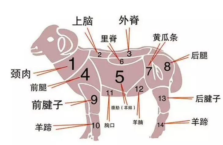 每个部位的羊肉都有最佳吃法 资深吃货都不一定知道