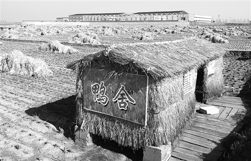 农产品加工：连接上下游 富民又增收