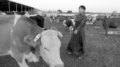 春梅：牧区&ldquo;追梦人&rdquo; 带动周边牧民一起致富