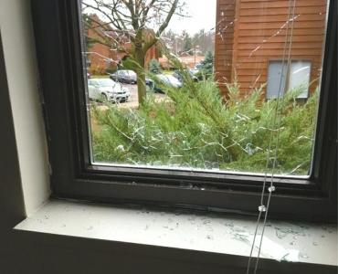 四川留美学生击毙入室歹徒：遭不法侵害 别保持沉默