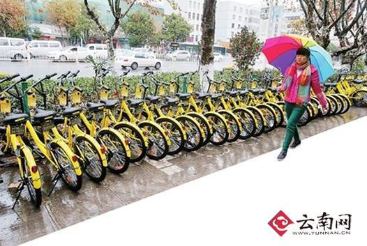昆明市民吐槽共享单车：街上看得见 用不了