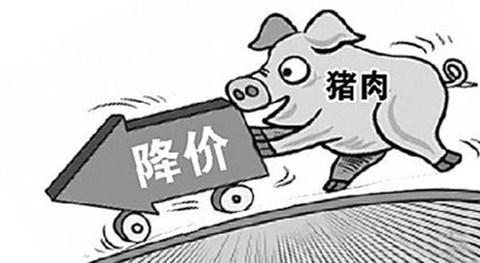 节前猪价不会蹿升