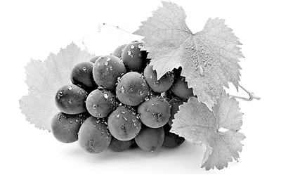 权威解读：2016食品安全8大热点