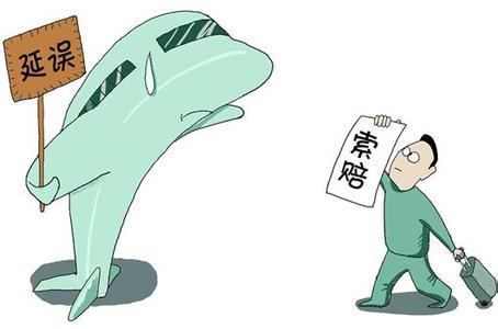 航班延误赔偿 不宜让航企&ldquo;自定标准&rdquo;