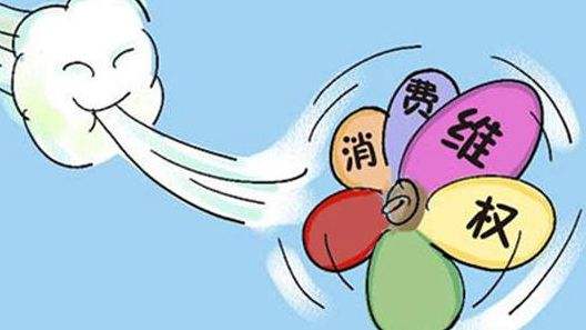 中消协:良家铺子、三只松鼠等34款网购商品存在问题