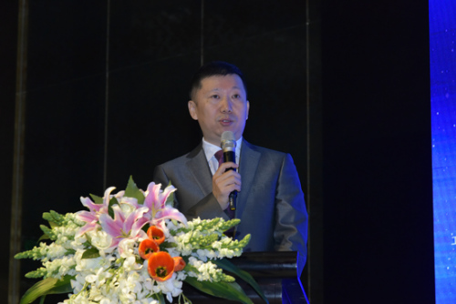 中国电子视像行业协会 副秘书长 彭健锋