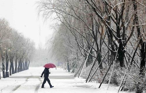 专家解读：东北困局真的因为东北人不行吗？