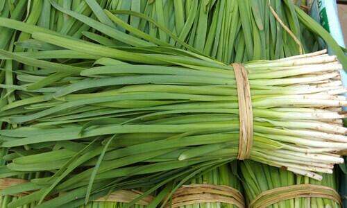菜价持续上涨 韭菜涨势最猛