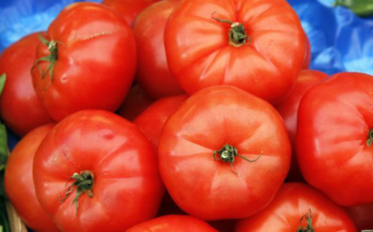 中国科学家破解&ldquo;西红柿咋没了从前味道&rdquo;谜题