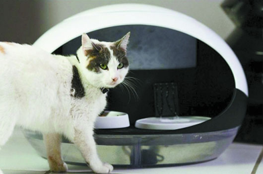 居家生活也有&ldquo;黑科技&rdquo;：智能床垫防打鼾