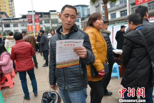 &ldquo;候鸟&rdquo;心声：生活何需太多悲情