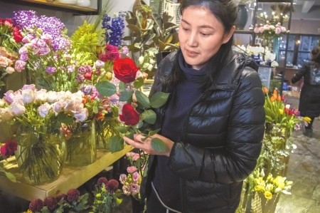 情人节催生&ldquo;天价玫瑰&rdquo; 个别品种批发千余元一束