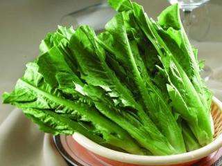 云南蔬菜卖不动 厅长进京查因