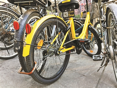 共享单车屡遭毒手 “死法”千奇百怪